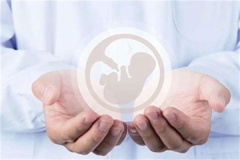 http://taizhou.vdtfzz.com/post/214.html|台州人工试管