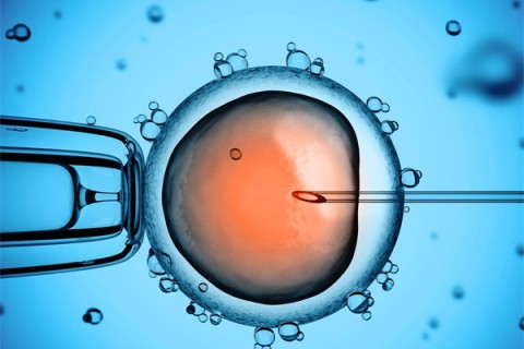 http://taizhou.vdtfzz.com/post/199.html|台州供卵助孕